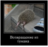 Клуб Ниссан Террано | Форум Terrano-Club.Ru | Фото: 3.png