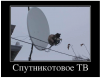 Клуб Ниссан Террано | Форум Terrano-Club.Ru | Фото: 6.png
