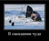 Клуб Ниссан Террано | Форум Terrano-Club.Ru | Фото: 1.png