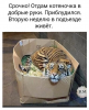 Клуб Ниссан Террано | Форум Terrano-Club.Ru | Фото: 10.png