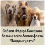 Клуб Ниссан Террано | Форум Terrano-Club.Ru | Фото: 4.png