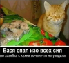 Клуб Ниссан Террано | Форум Terrano-Club.Ru | Фото: 1.png