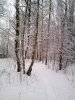 Клуб Ниссан Террано | Форум Terrano-Club.Ru | Фото: IMG_20221211_121947_resize_99.jpg
