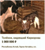 Клуб Ниссан Террано | Форум Terrano-Club.Ru | Фото: 1.png