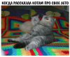 Клуб Ниссан Террано | Форум Terrano-Club.Ru | Фото: 6.png