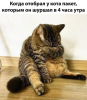 Клуб Ниссан Террано | Форум Terrano-Club.Ru | Фото: 3.png