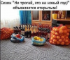 Клуб Ниссан Террано | Форум Terrano-Club.Ru | Фото: 1.png