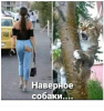 Клуб Ниссан Террано | Форум Terrano-Club.Ru | Фото: 5.png