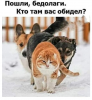 Клуб Ниссан Террано | Форум Terrano-Club.Ru | Фото: 8.png
