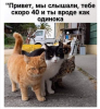 Клуб Ниссан Террано | Форум Terrano-Club.Ru | Фото: 3.png