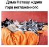 Клуб Ниссан Террано | Форум Terrano-Club.Ru | Фото: 6.png