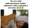 Клуб Ниссан Террано | Форум Terrano-Club.Ru | Фото: 0.png