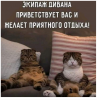 Клуб Ниссан Террано | Форум Terrano-Club.Ru | Фото: 5.png
