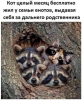 Клуб Ниссан Террано | Форум Terrano-Club.Ru | Фото: 1.png