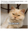 Клуб Ниссан Террано | Форум Terrano-Club.Ru | Фото: 2.png