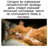 Клуб Ниссан Террано | Форум Terrano-Club.Ru | Фото: 2.png