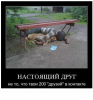 Клуб Ниссан Террано | Форум Terrano-Club.Ru | Фото: 6.png