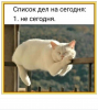 Клуб Ниссан Террано | Форум Terrano-Club.Ru | Фото: 4.png