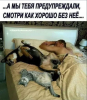 Клуб Ниссан Террано | Форум Terrano-Club.Ru | Фото: 9.png