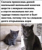 Клуб Ниссан Террано | Форум Terrano-Club.Ru | Фото: 1.png