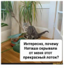 Клуб Ниссан Террано | Форум Terrano-Club.Ru | Фото: 5.png