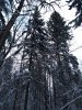 Клуб Ниссан Террано | Форум Terrano-Club.Ru | Фото: IMG_20230212_113008_resize_52.jpg