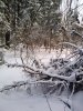 IMG_20230212_142550_resize_76.jpg