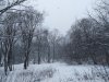 Клуб Ниссан Террано | Форум Terrano-Club.Ru | Фото: IMG_20230214_111514_resize_36.jpg