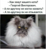 Клуб Ниссан Террано | Форум Terrano-Club.Ru | Фото: 6.png