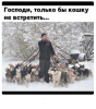 Клуб Ниссан Террано | Форум Terrano-Club.Ru | Фото: 1.png