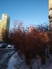 Клуб Ниссан Террано | Форум Terrano-Club.Ru | Фото: IMG_20230223_170925_resize_25.jpg