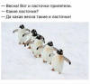 Клуб Ниссан Террано | Форум Terrano-Club.Ru | Фото: 1.png