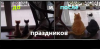 Клуб Ниссан Террано | Форум Terrano-Club.Ru | Фото: 6.png