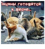 Клуб Ниссан Террано | Форум Terrano-Club.Ru | Фото: 3.png