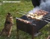 Клуб Ниссан Террано | Форум Terrano-Club.Ru | Фото: ш.jpg