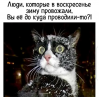 Клуб Ниссан Террано | Форум Terrano-Club.Ru | Фото: 5.png