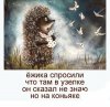 Клуб Ниссан Террано | Форум Terrano-Club.Ru | Фото: IMG_20230304_175514_678.jpg