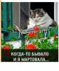 Клуб Ниссан Террано | Форум Terrano-Club.Ru | Фото: 2.png