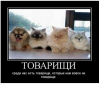 Клуб Ниссан Террано | Форум Terrano-Club.Ru | Фото: 4.png