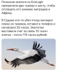 Клуб Ниссан Террано | Форум Terrano-Club.Ru | Фото: 3.png