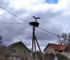 Клуб Ниссан Террано | Форум Terrano-Club.Ru | Фото: 2.jpg