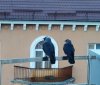 Клуб Ниссан Террано | Форум Terrano-Club.Ru | Фото: IMG_20230411_194314.jpg