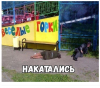 Клуб Ниссан Террано | Форум Terrano-Club.Ru | Фото: 7.png