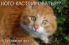 Клуб Ниссан Террано | Форум Terrano-Club.Ru | Фото: 1241974812_18.jpg