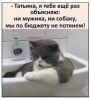 Клуб Ниссан Террано | Форум Terrano-Club.Ru | Фото: 5.png