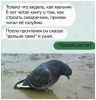 Клуб Ниссан Террано | Форум Terrano-Club.Ru | Фото: 4.png