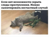 Клуб Ниссан Террано | Форум Terrano-Club.Ru | Фото: 3.png