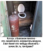 Клуб Ниссан Террано | Форум Terrano-Club.Ru | Фото: 7.png