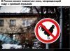 Клуб Ниссан Террано | Форум Terrano-Club.Ru | Фото: 333333.jpg