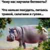 Клуб Ниссан Террано | Форум Terrano-Club.Ru | Фото: 1.png
